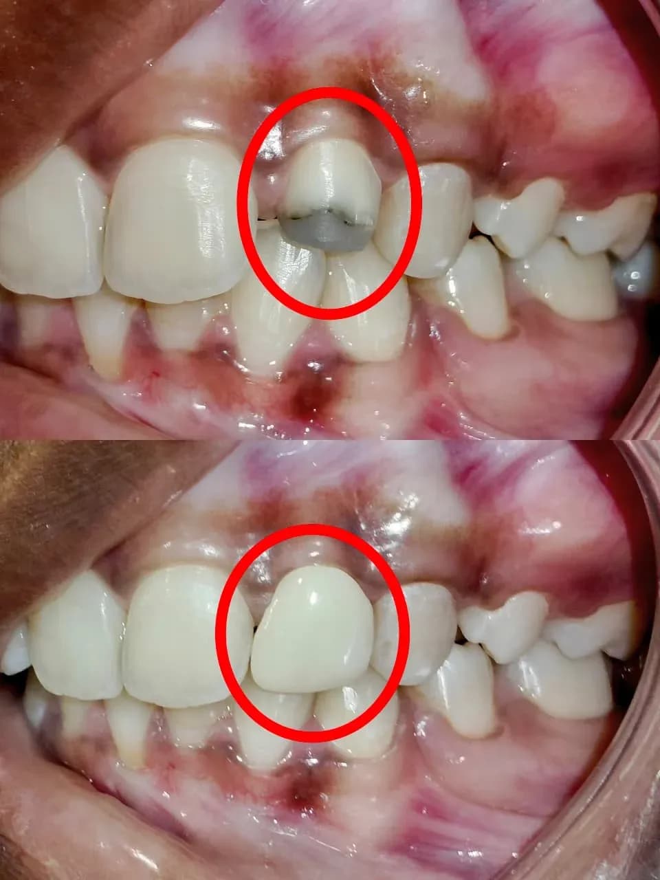 Dental Clinic 10