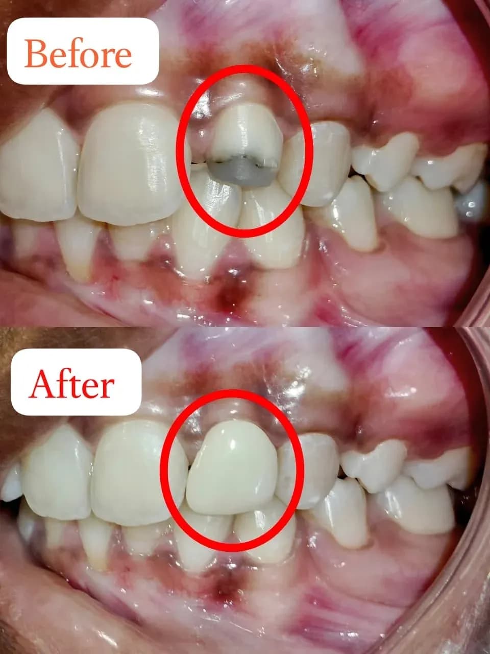 Dental Clinic 13
